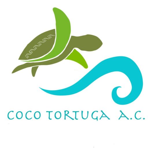 Coco Tortuga Campamento Tortuguero